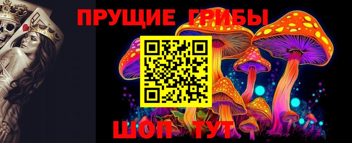 Псилоцибиновые грибы прущие грибы  продажа наркотиков  Ревда  Вход с VPN 
