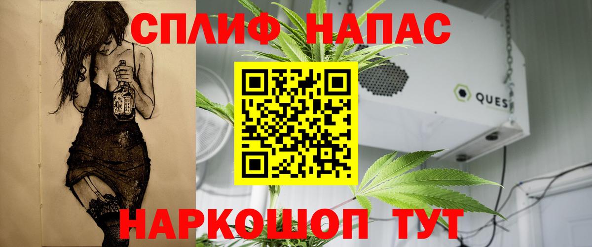 Бошки марихуана MAZAR  Марихуана Amnesia  Ревда  Вход с VPN  Конопля ГИДРОПОН  Конопля Bruce Banner 